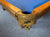 PREOWNED 8' DUFFERIN POOL TABLE INSTALLEE WITHA CCESSORIES LIGHT OAK FINISH
