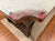 8' PREOWNED BERINGER POOL TABLE INSTALLED WITH ACCESSORIES WALNUT FINISH
