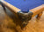 Close-up of a wooden pool table corner with blue felt, a dark metal pocket cup, and carved wooden legs on a wood floor. The brand name 'Datter' is visible on the pocket cup.