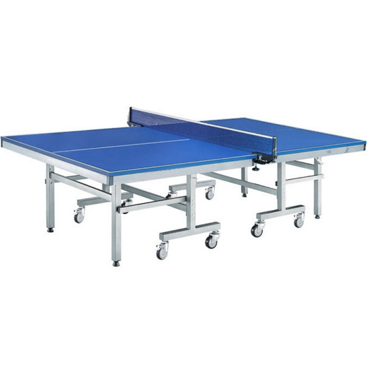 ACE ITTF indoor table tennis table