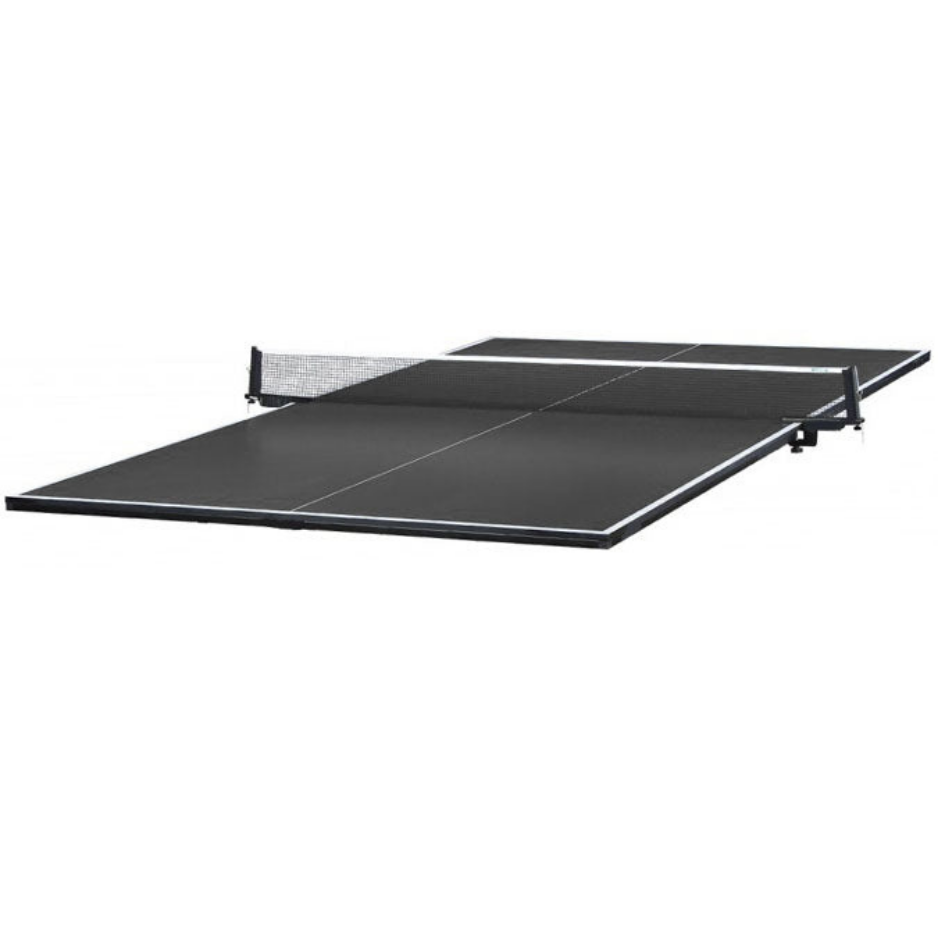 ACE indoor table tennis table top