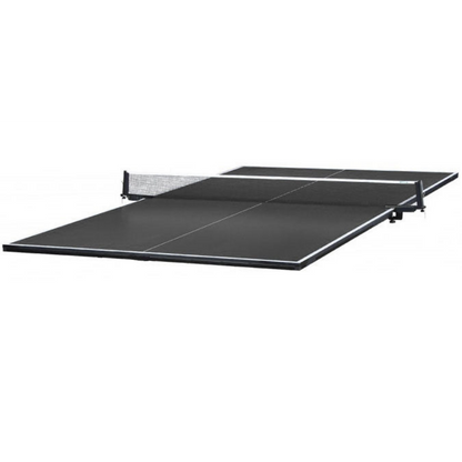 ACE indoor table tennis table top